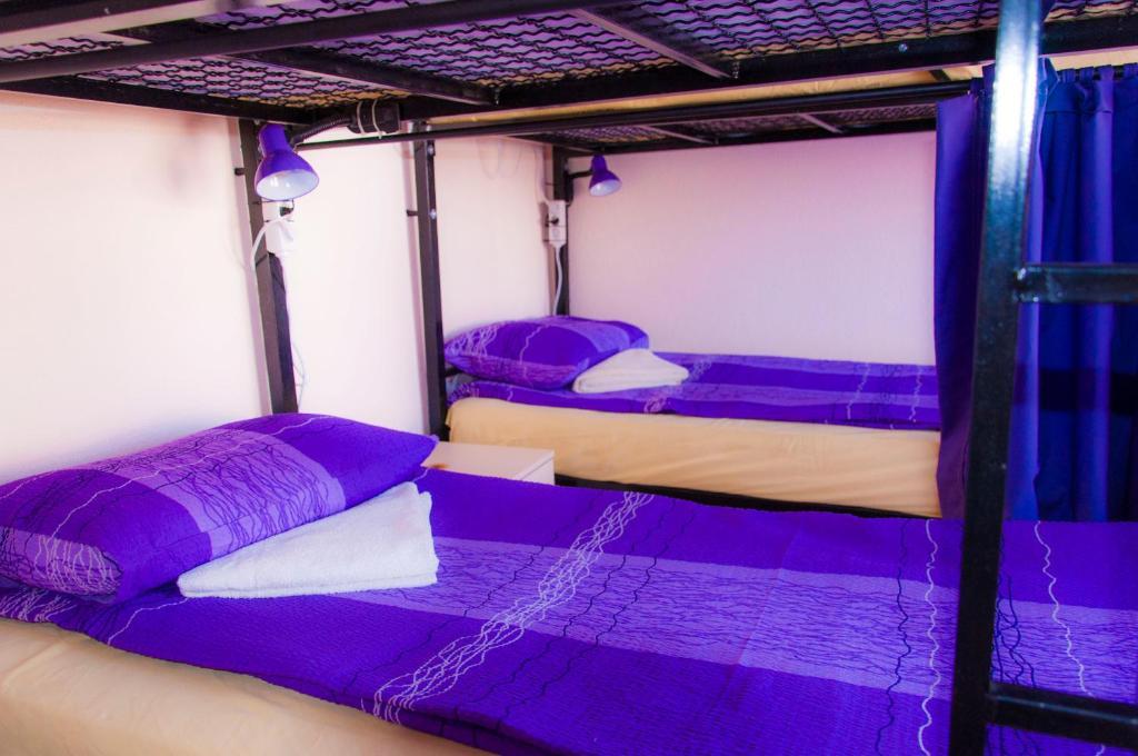 Goldy Hostel Bitola Rum bild