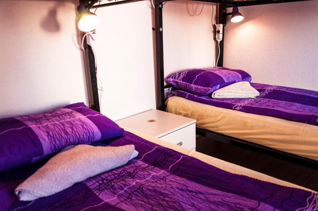 Goldy Hostel Bitola Rum bild